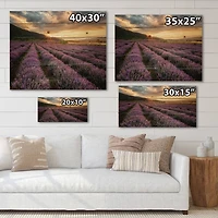 Designart - Sunrise & Dramatic Clouds Over Lavender Field VI