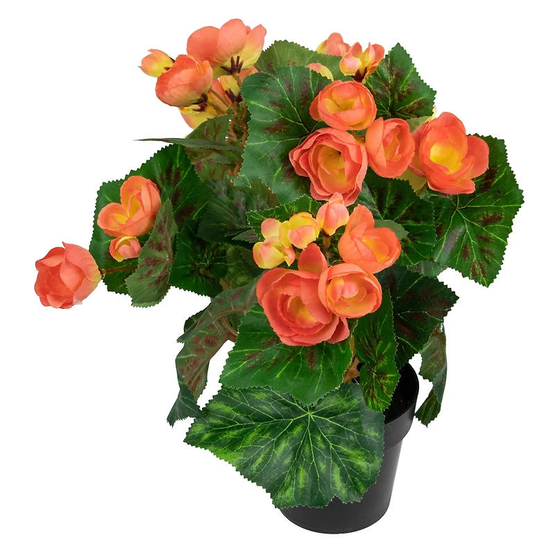 11" Potted Silk Begonia Floral Arrangement