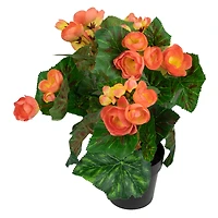 11" Potted Silk Begonia Floral Arrangement