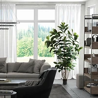 7ft. Potted Green Rubber Tree