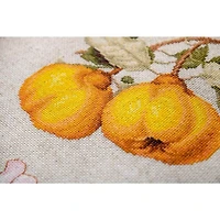 Luca-s The Pear Shaped Quince Counted Cross Stitch Kit