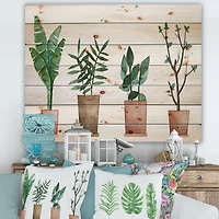 Designart - Duo of Potted Flowers House Plants - Farmhouse Print on Natural Pine Wood