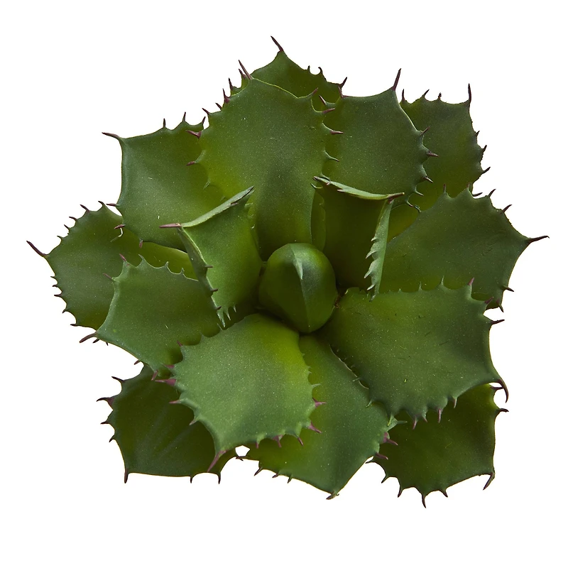 Green Succulent Pick, 2ct.