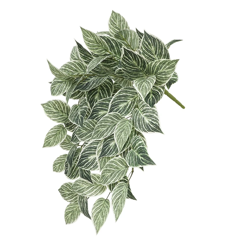 23" Philodendron Birkin Hanging Bush by Ashland®