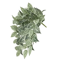 23" Philodendron Birkin Hanging Bush by Ashland®