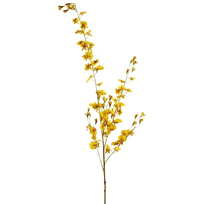 12 Pack: Yellow Dancing Orchid by Ashland®