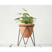 Hello Honey® 8.5" Terra Cotta Pot With Metal Stand Set