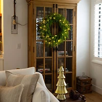 24in. Pre-Lit Artificial Real Touch Norfolk Island Pine Wreath with 50 Warm White LED Lights and Natural Look