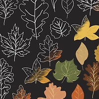 Brea Reese™ 6" x 8" Fall Foraging Scratch Art Paper Pad