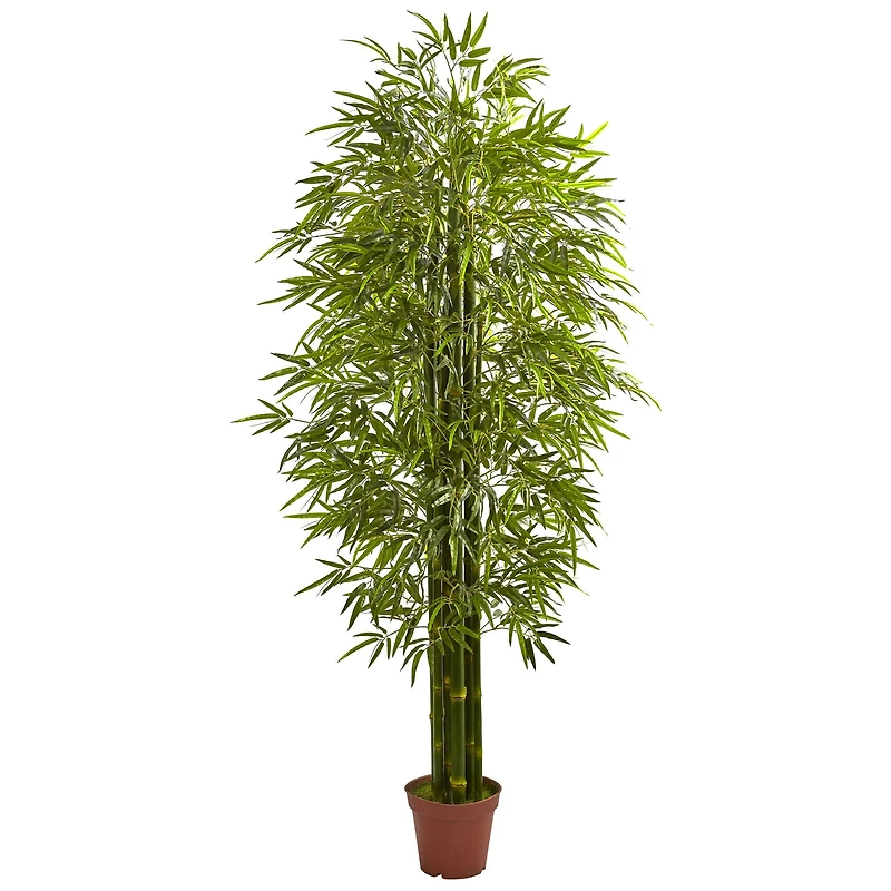 7ft. Potted Bamboo Tree