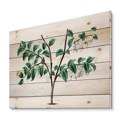 Designart - Vintage Green Leaves Plants I