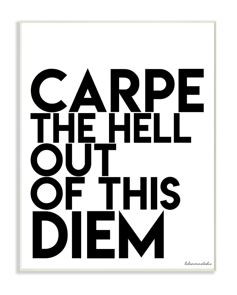 Stupell Industries lulusimonSTUDIO Black & White Carpe the Hell Out of This Diem Wall Plaque