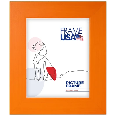 Frame USA Colori Large Single Image Picture Frame