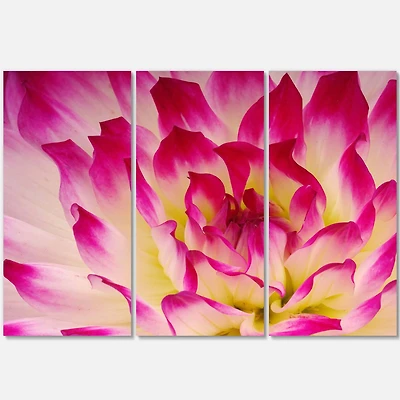 Designart - Smooth Purple White Flower Petals