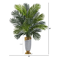 3ft. Areca Palm Plant in Designer Planter