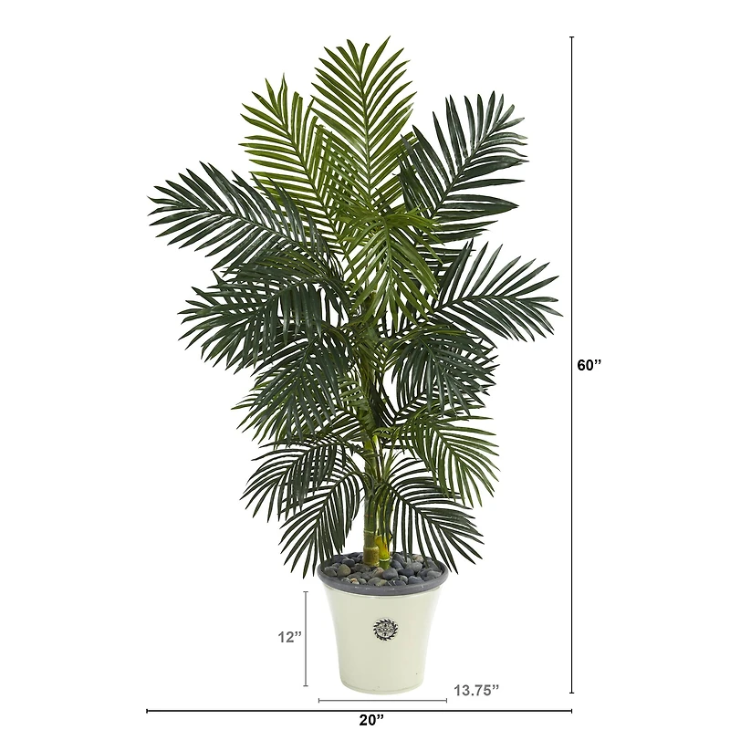 5ft. Golden Cane Palm Tree in White Planter