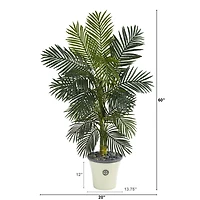 5ft. Golden Cane Palm Tree in White Planter