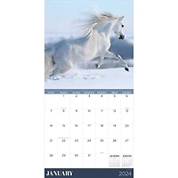 TF Publishing 2024 Horses Wall Calendar