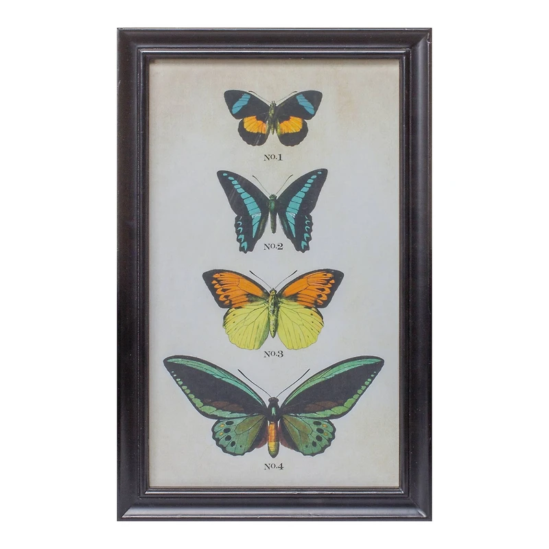 Framed Butterfly Print Set