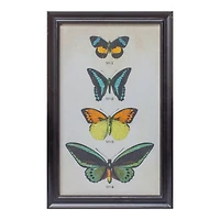 Framed Butterfly Print Set