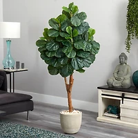 5.5ft. Fiddle Leaf Fig Tree in Sandstone Planter