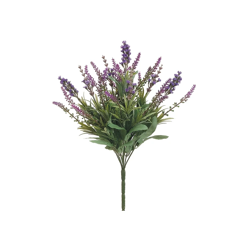 Purple Lavender Bush