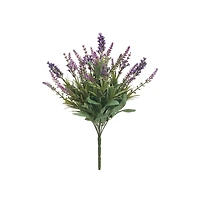 Purple Lavender Bush