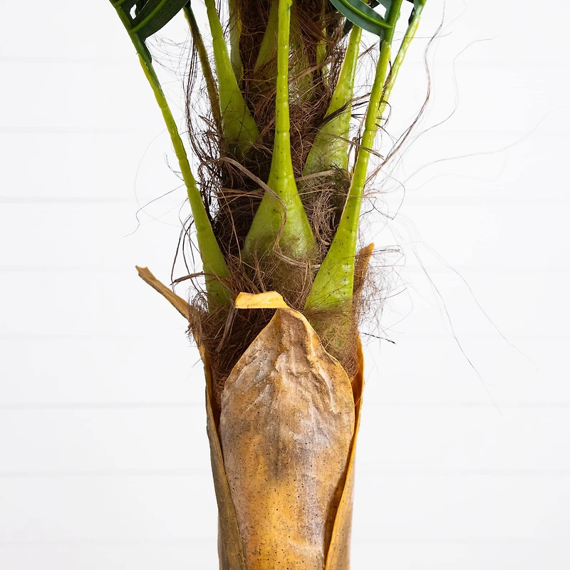 6ft. Potted Coconut Palm Tree