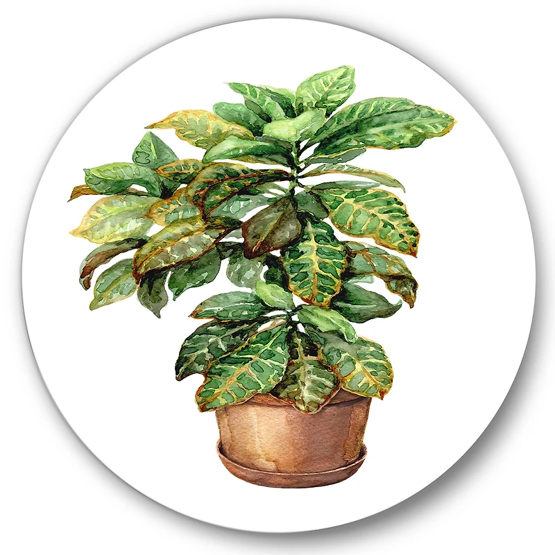 Designart - Croton In Clay Flowerpot