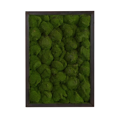 24" Artificial Moss Hanging Frame