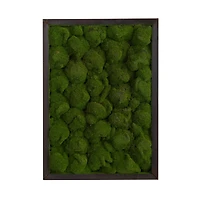 24" Artificial Moss Hanging Frame
