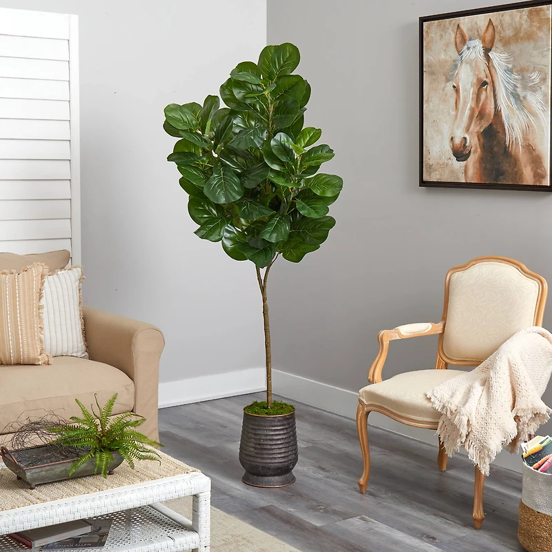 6ft. Fiddle Leaf Fig Tree in Ribbed Metal Planter