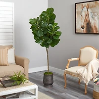 6ft. Fiddle Leaf Fig Tree in Ribbed Metal Planter