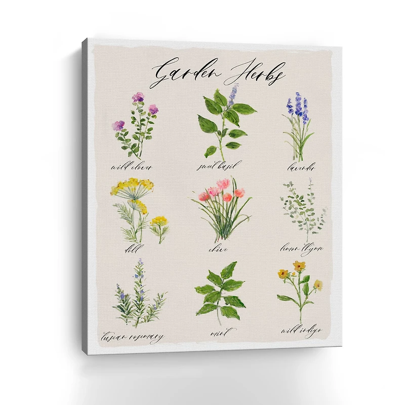 Garden Herbs Canvas Giclee