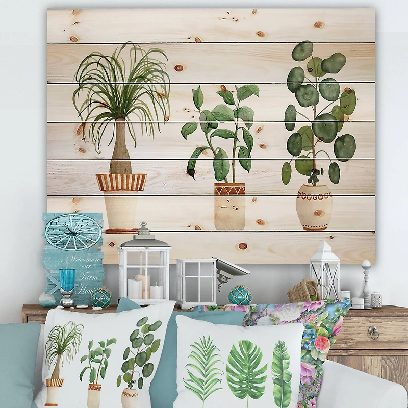 Designart - Trio of House Plants Ponytail Palm and Ficus