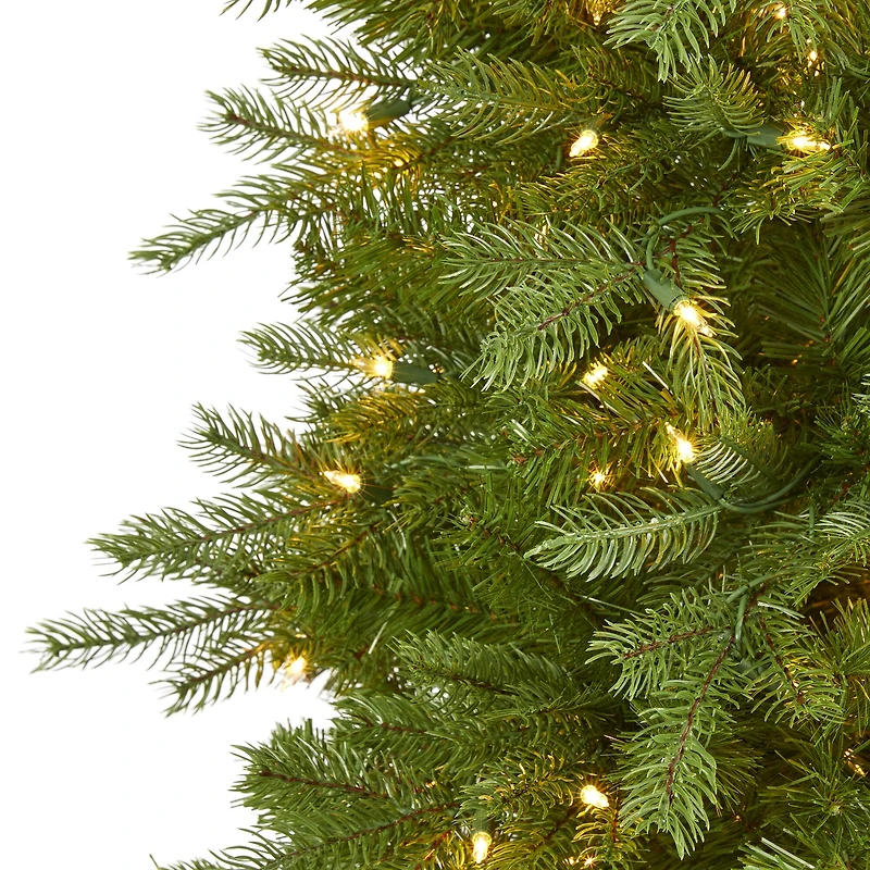 6ft. Pre-Lit Vienna Fir Artificial Christmas Tree, Warm White LED Lights