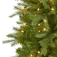6ft. Pre-Lit Vienna Fir Artificial Christmas Tree, Warm White LED Lights