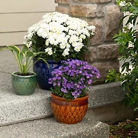 3 Jewel-Tone Flower Pot Set