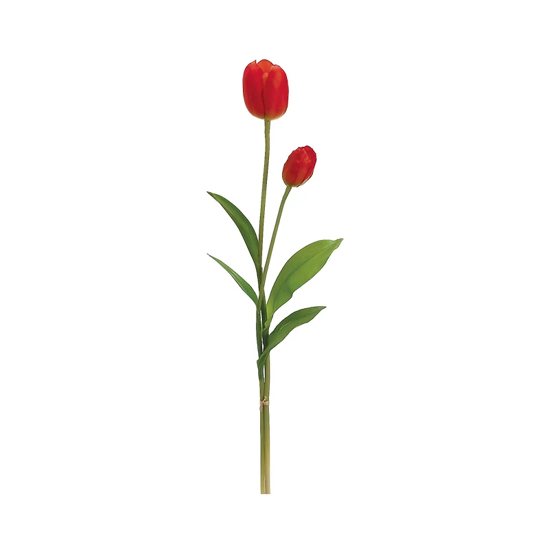 Orange Tulip Stem Set
