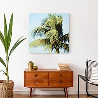 Palm In The Wind 24" x 24" Canvas Wall Art