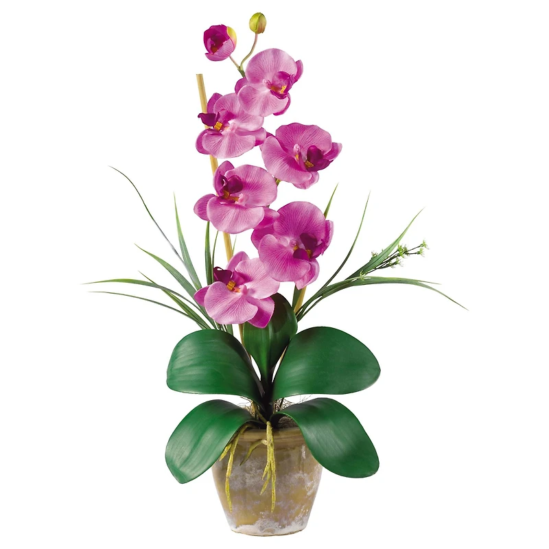 21" Moth Orchid Flower Arrangement in Ceramic Pot