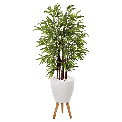 4.5ft. Bamboo Tree in White Planter with Stand