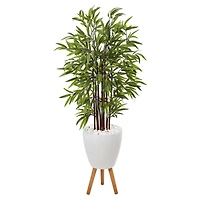 4.5ft. Bamboo Tree in White Planter with Stand
