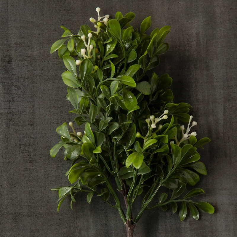 11" Boxwood Pick by Ashland®