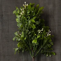 11" Boxwood Pick by Ashland®