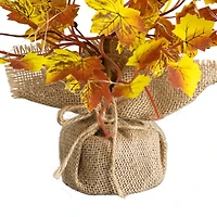 18in. Pre-Lit Autumn Maple Artificial Fall Tree with 30 LED String Lights in Burlap Wrapped Base