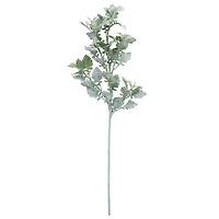 Frosted Dusty Miller Spray Stem by Ashland®