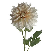 Light Pink Dahlia Stem by Ashland®