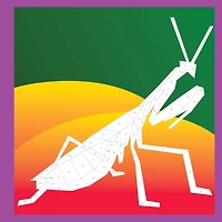 Workman Publishing Paint by Sticker® Beautiful Bugs