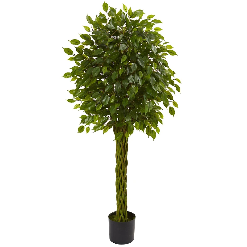 5ft. Potted Woven Trunk Ficus Tree